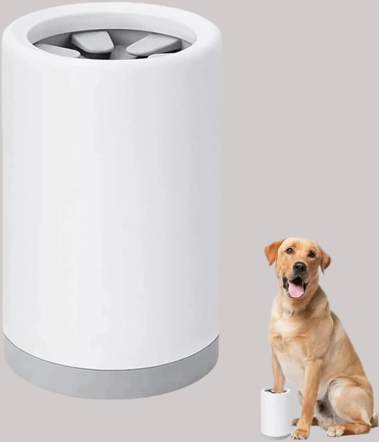 Dog Paw Cleaner